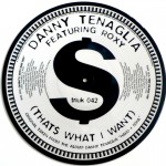 Danny Tenaglia - $ (That's What I Want) Picture Disc Vinyl - 12 inch